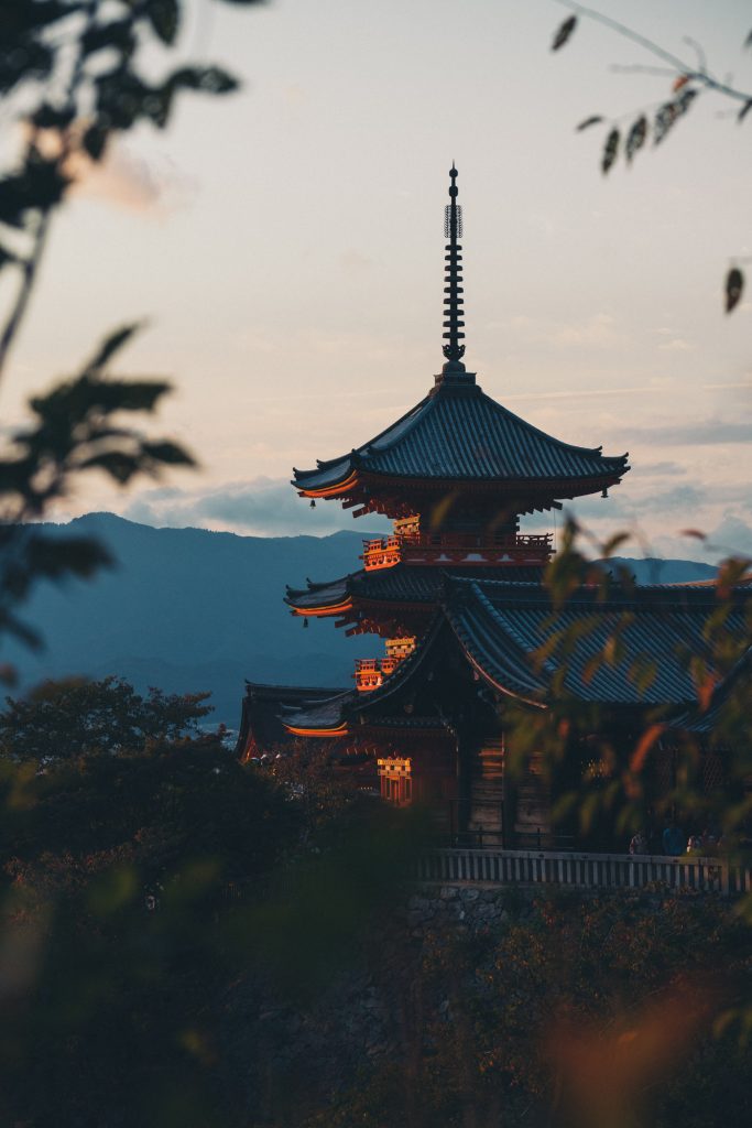 image of a kyoto shrine shot through the leaves