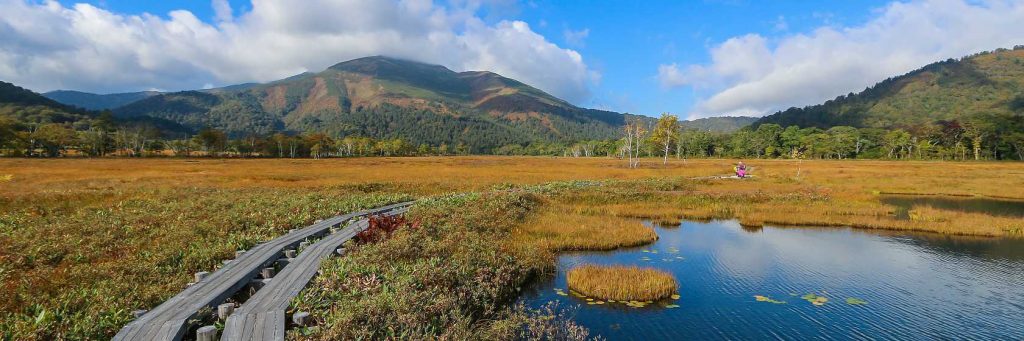 Ozo National Park - japan-guide.com