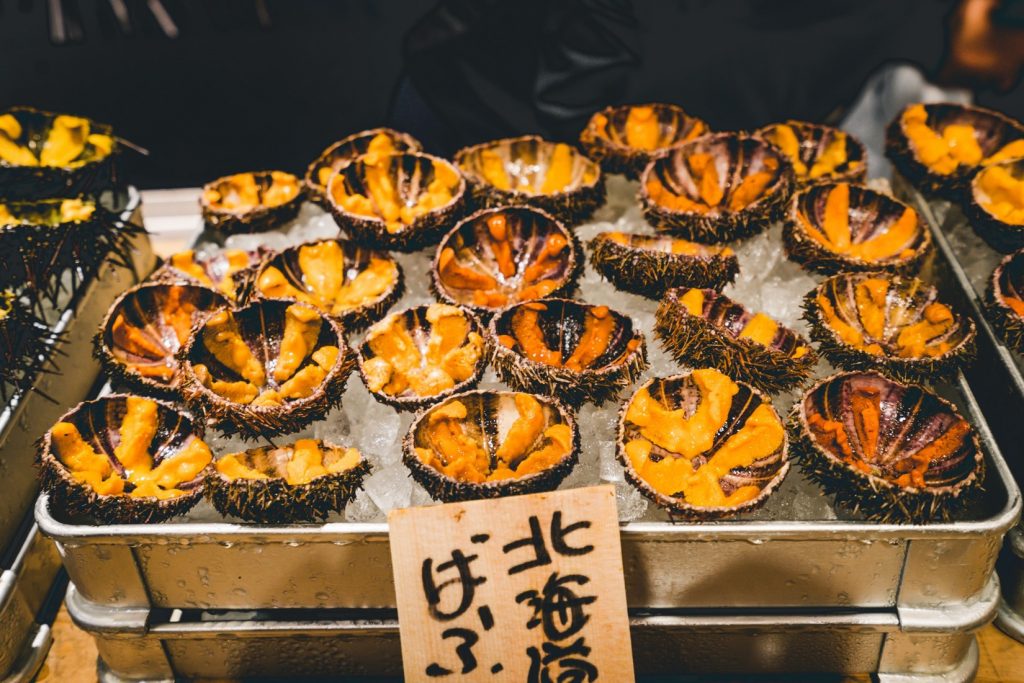 Sea Urchins Japan - witandfolly.co