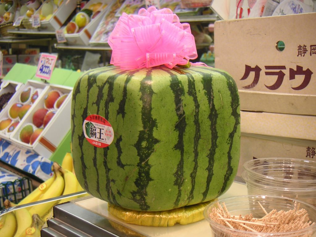 Square Watermelon - witandfolly.co