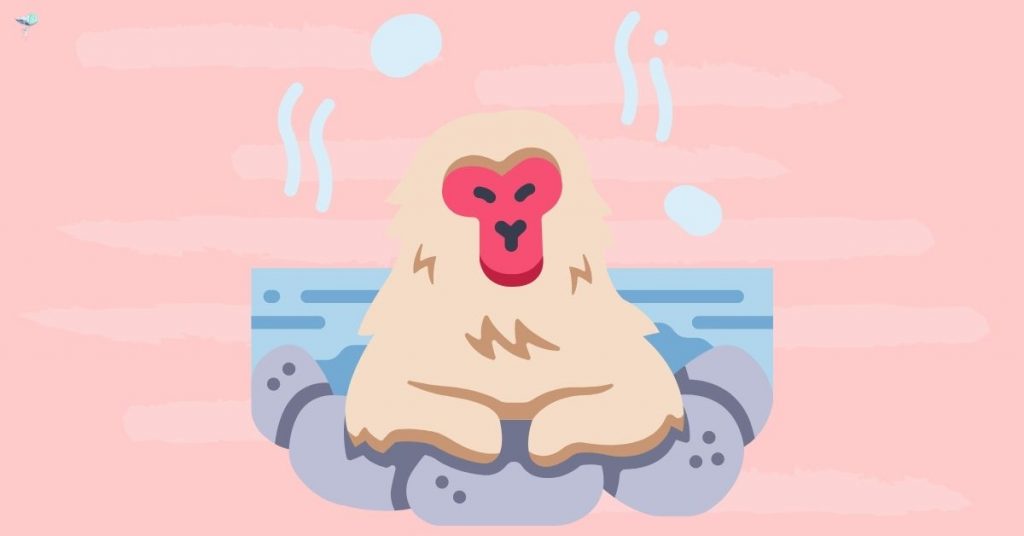 illustration of monkey in hot spring