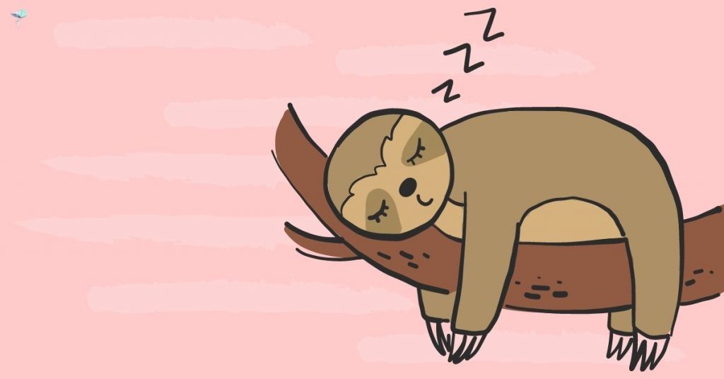 illustration of a sloth sleeping on a branch