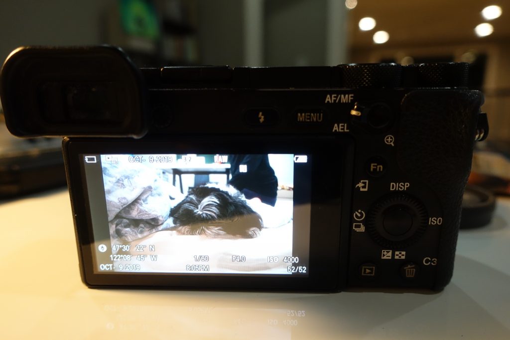 photo of an image on the sony a6500 with geotagged location