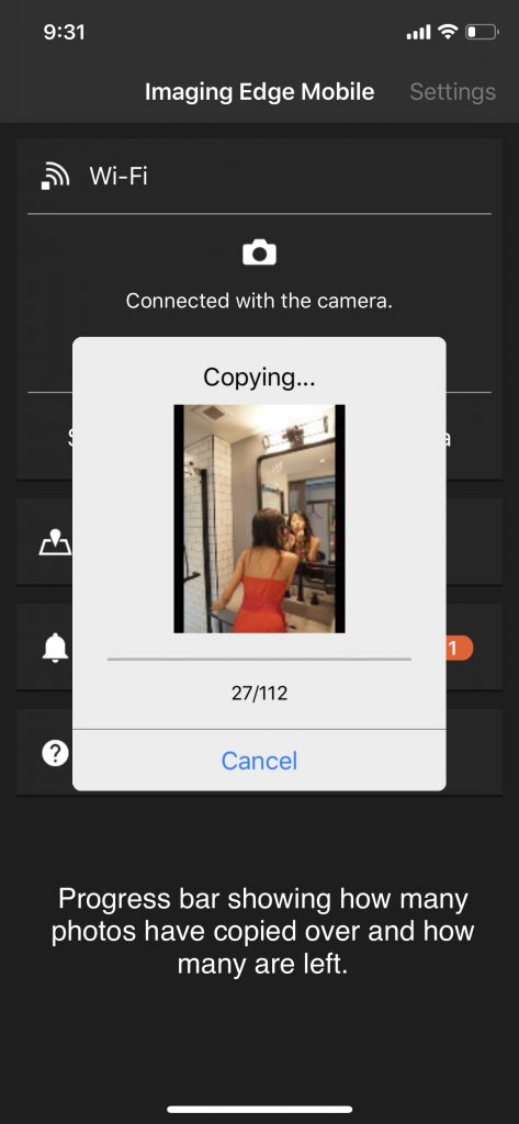 transferring-image-with-imgaging-edge-mobile-app-image-2