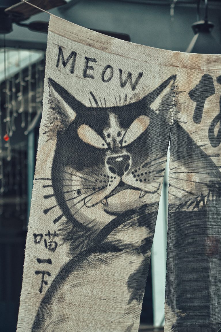 picture of a cat poster