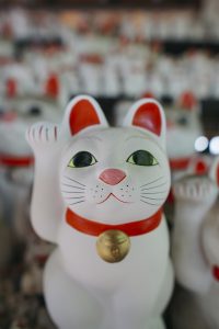 picture of maneko neki cats at gotokuji temple in japan