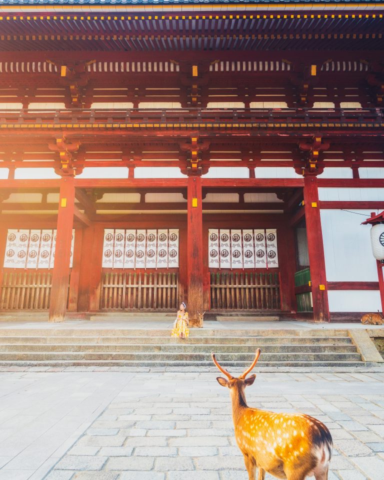 photo of deer and woman sitting on stairs at nara park near kyoto