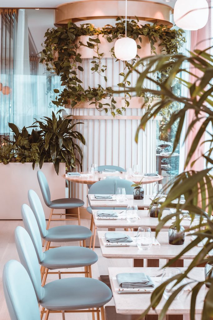 Row of light blue chairs and tables in restaurant with plants