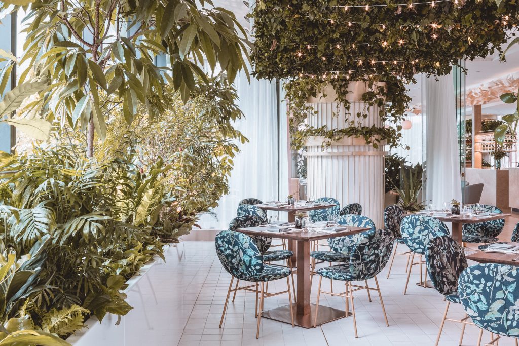 Dining space decorated with plants and blue patterned chairs