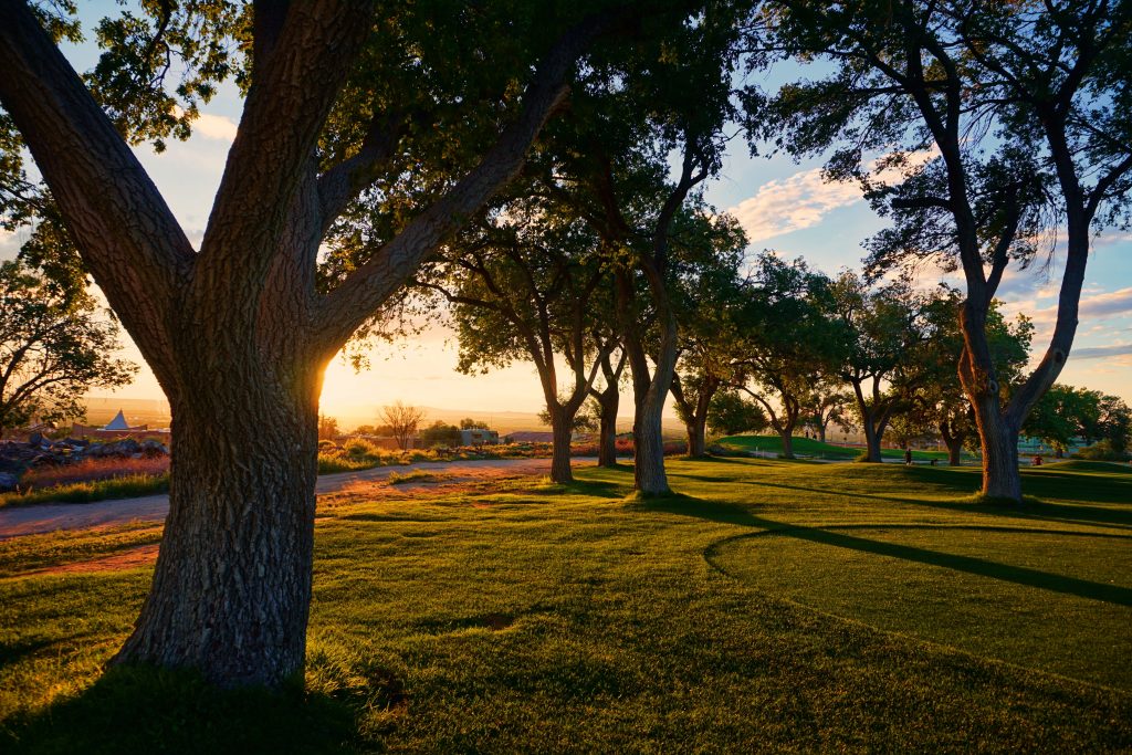 photo of trees at sunset on a golf course