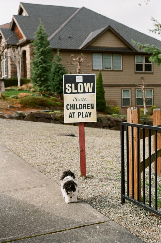 dog in front of sign