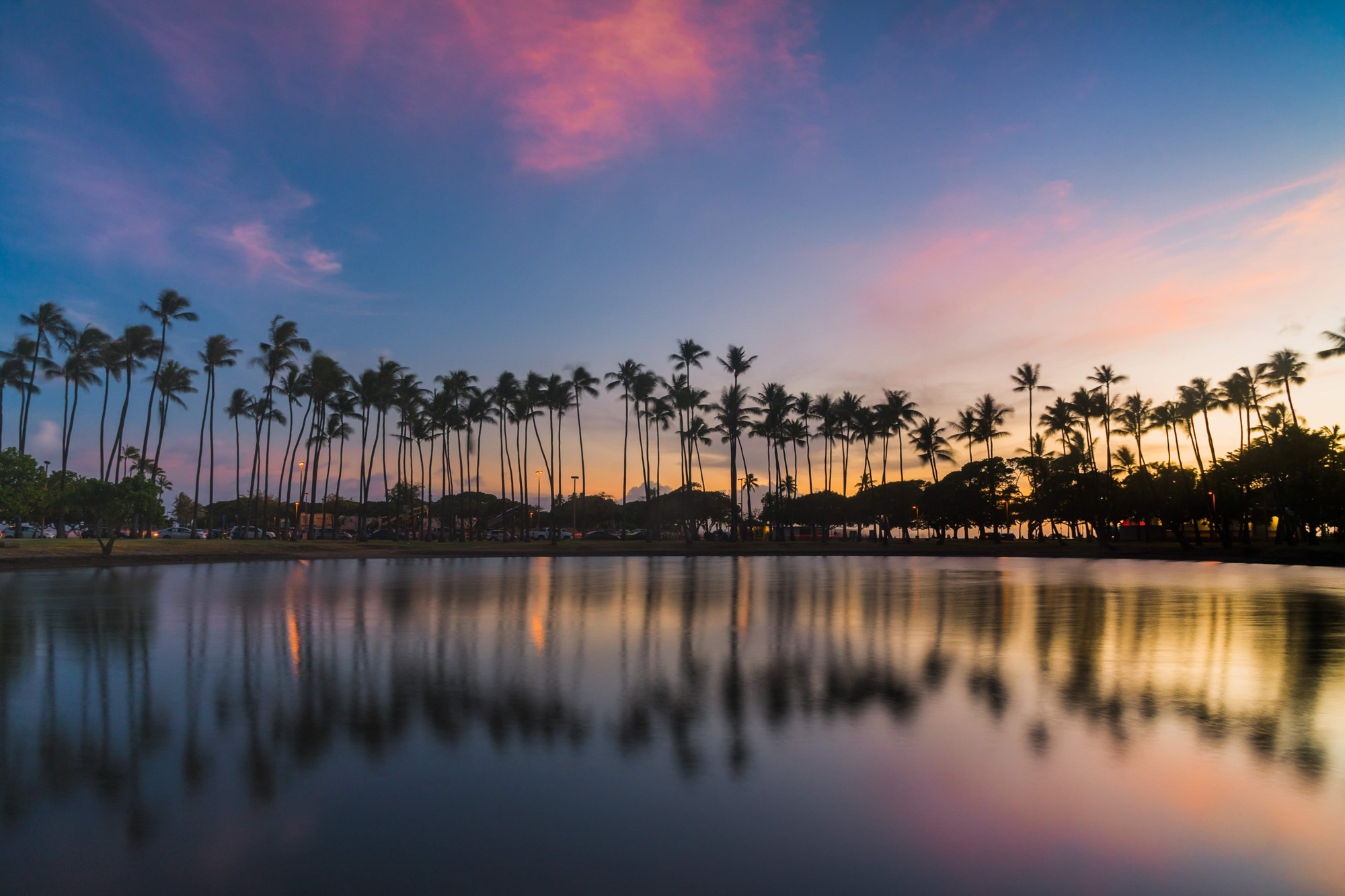 image of a lagoon reflection with palm trees surrounding the lagoon