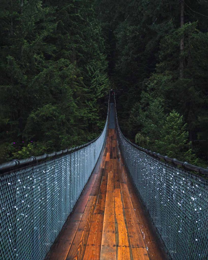 image of a suspension bridge with lights on both sides