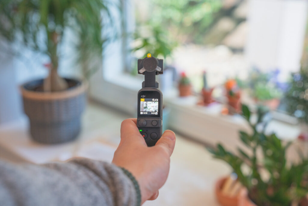 image of person holding up a pocket camera in front of plants