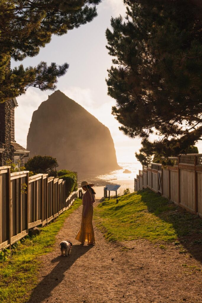 image of path leading to haystack rock