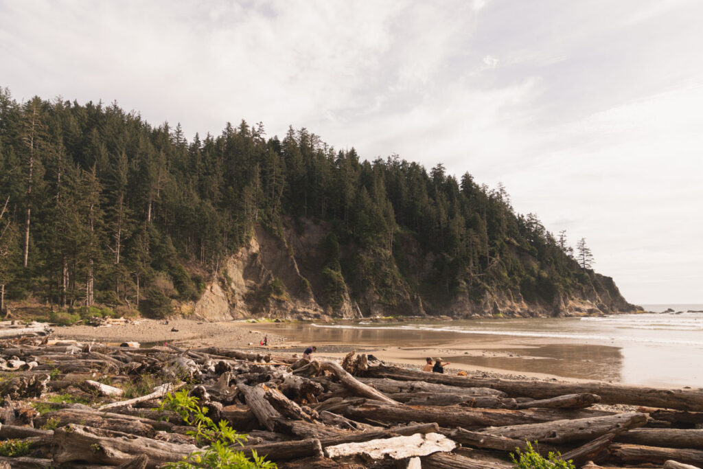 image of short sand beach in northern oregon coast