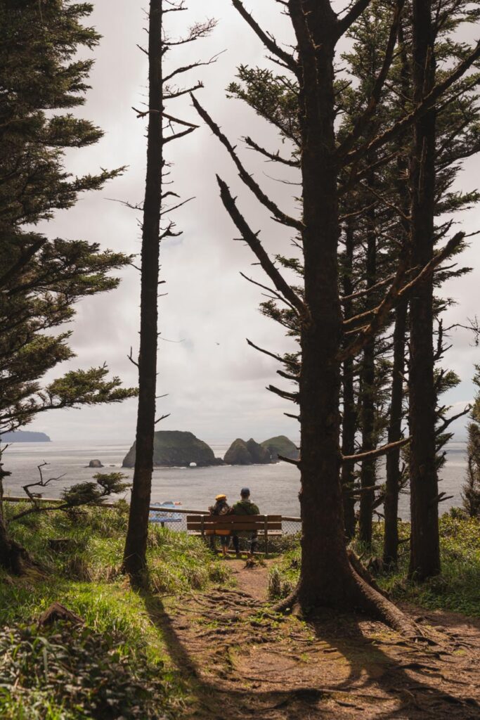 image of a bench overlooking the oregon coast