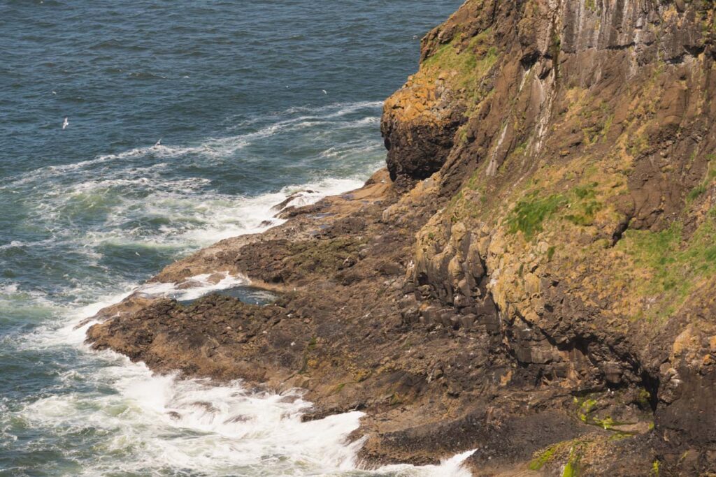 image of seacliffs on the oregon coast